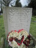 image of grave number 557493